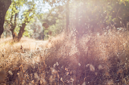 The Hills Containing Hills Dry And Drought preview 6