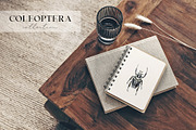 Beetles watercolor collection, an Animal Illustration by Diana Askarova Art (Thumbnail 2 of 12)