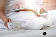 Cherry Blossom Watercolor, a Decorative Illustration by Olga Koelsch (Thumbnail 6 of 9)