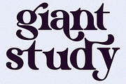 Eriskaw Serif Fonts, a Serif Font by mahstudios (Thumbnail 7 of 10)