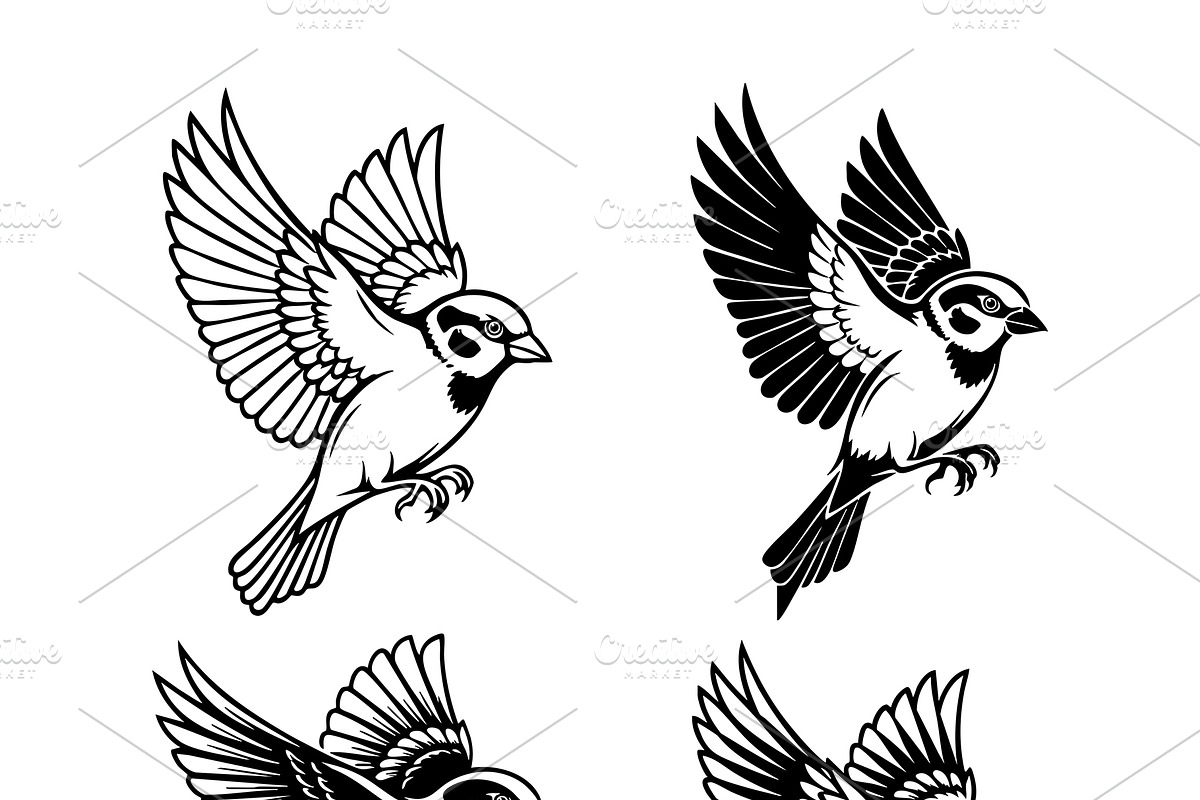 Set of four flying sparrows. Birds., an Animal Illustration by yod67