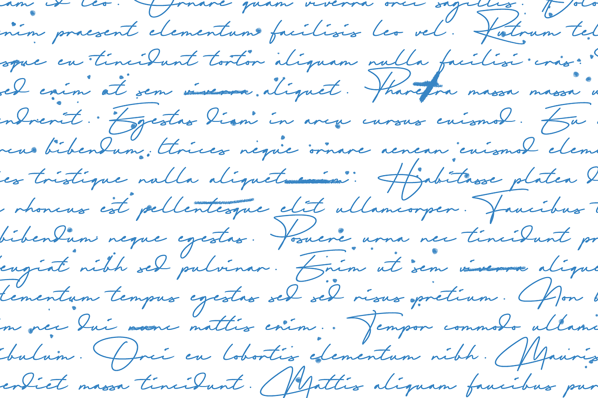 Signatera, a Handwritten Font by NUGS (Photo 8 of 8)