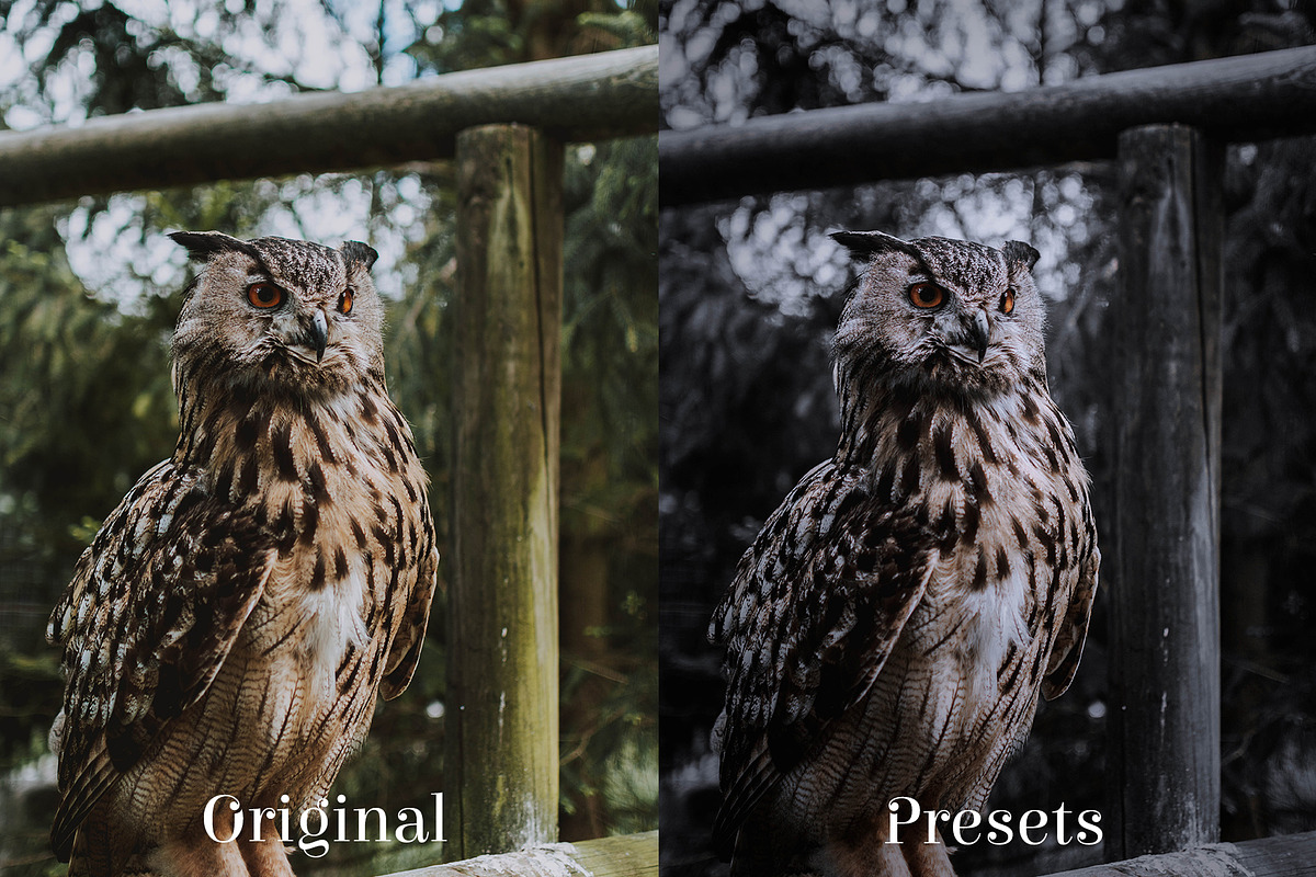 Instashades Lightrooom Presets, a Preset Add-On by Voleshads (Photo 6 of 10)