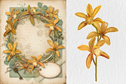Orchid wreath & Bouquet, an Object Graphic by Floraphoria (Thumbnail 8 of 9)