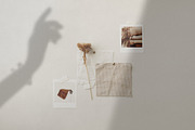 Natural Shadow Zen Overlays, a Texture Graphic by Feather & Sage Design (Thumbnail 6 of 14)