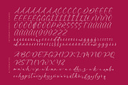 Montise Natasha Stylish Handwritten, a Script Font by stylishtype.co (Thumbnail 18 of 20)