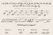 Chorasign | Handwritten Script, a Script Font by Qaratype (Thumbnail 5 of 15)