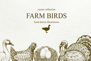 Farm Birds Vector collection, an Animal Illustration by Lubov Illustrations Shop