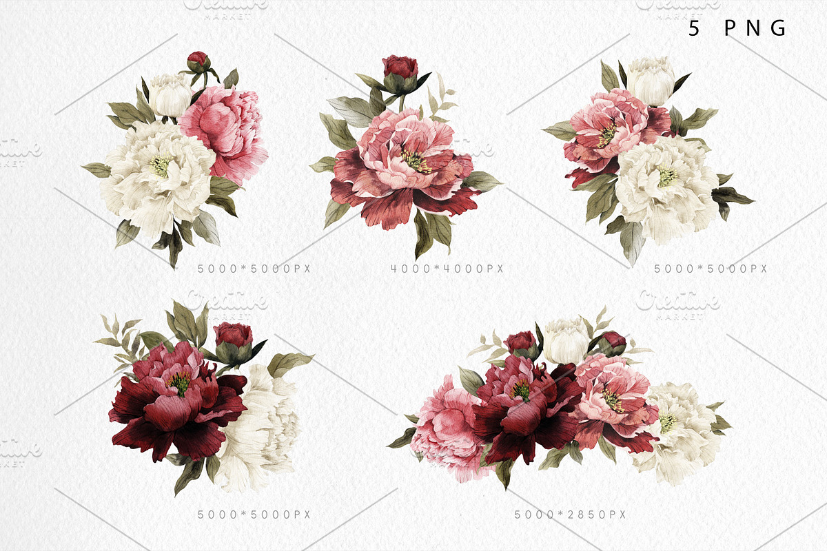 WATERCOLOR BUNDLE Peonies & Roses, an Illustration by ollalya (Photo 5 of 101)