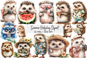 Summer Hedgehog Clipart, an Illustration by DreamArtGraphic