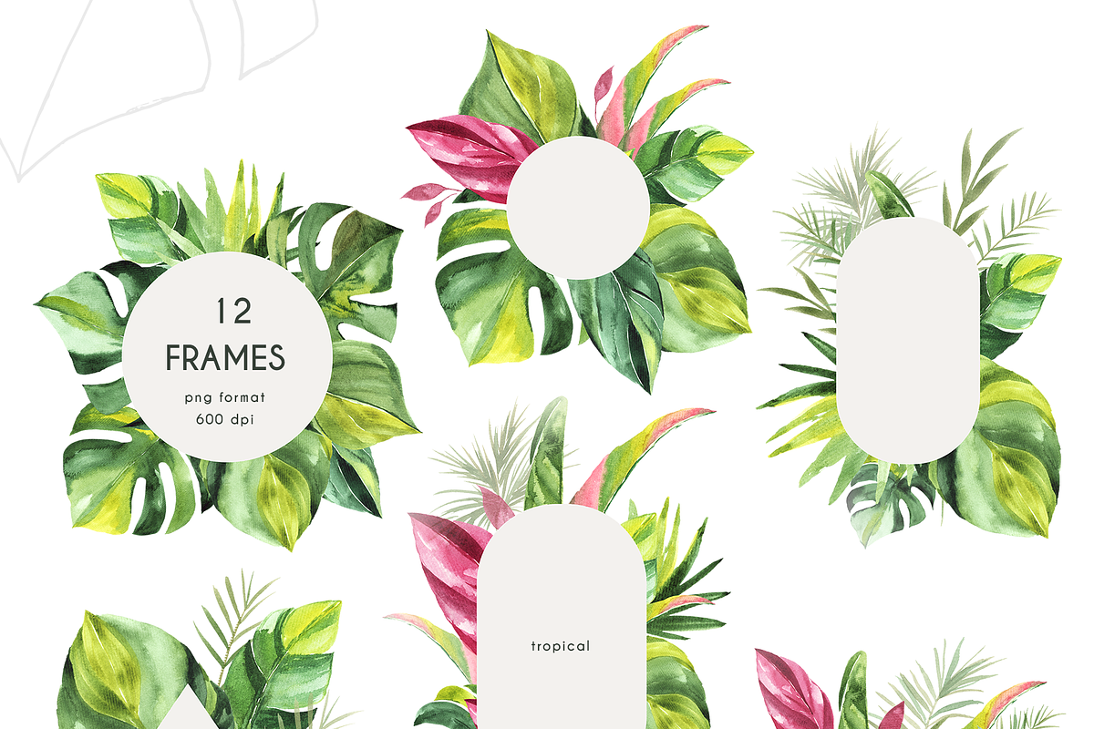 Tropical Foliage Watercolor set, a Decorative Illustration by Liliia Polos Illustration (Photo 5 of 14)