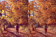 10 Forest Lightroom Presets, a Preset Add-On by RamsaGraphi (Thumbnail 9 of 10)