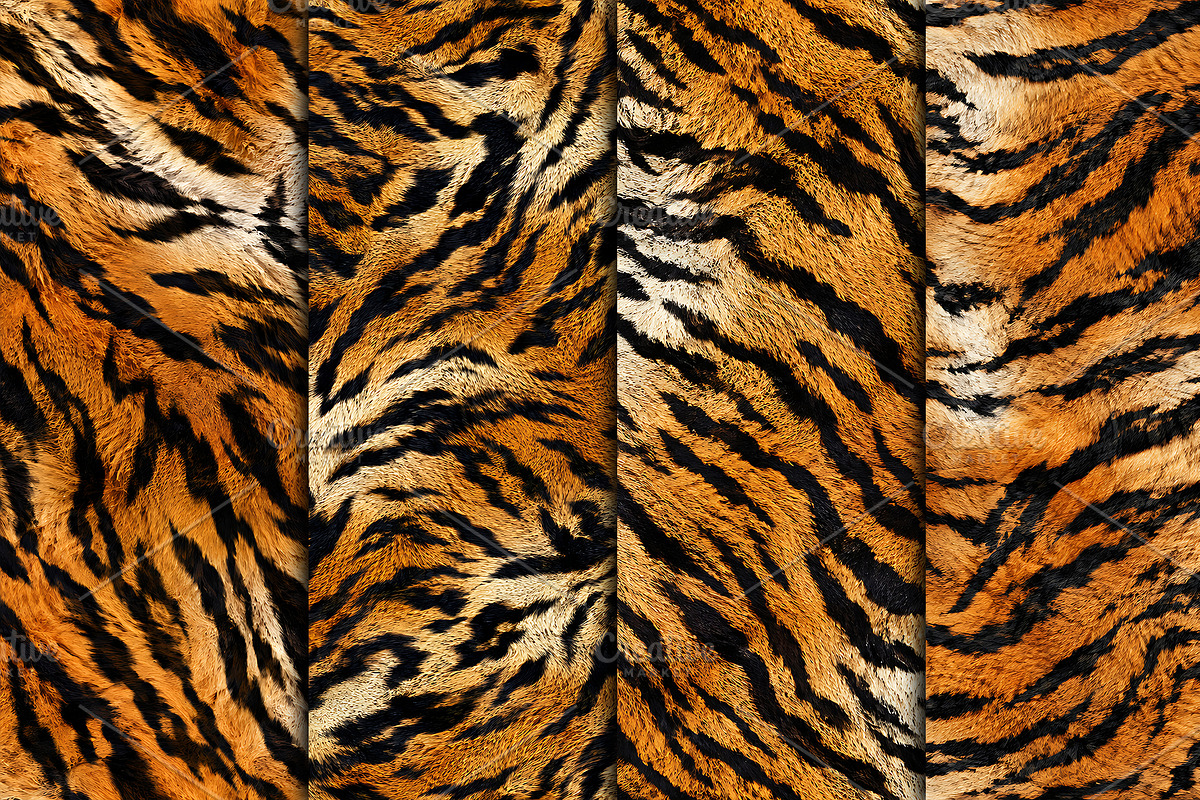 Realistic Tiger Fur Print Texture, a Pattern Graphic by Artonix (Photo 4 of 5)