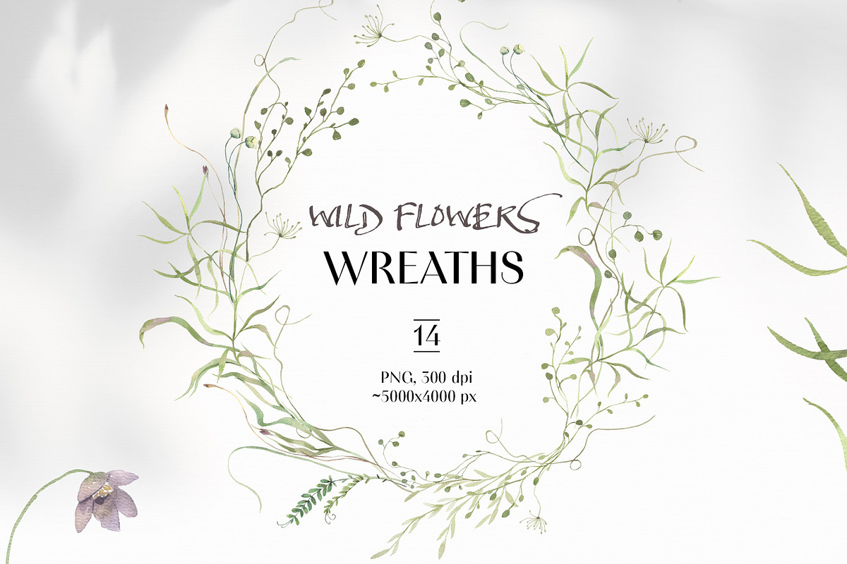 FIELD SYMPHONY- Flowers Collection, a Decorative Illustration by Les Frolova (Photo 6 of 18)