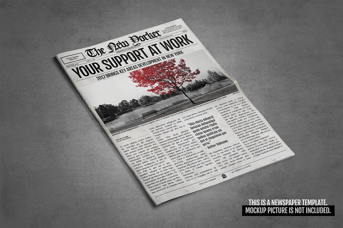 2x1 Page Newspaper Template Indesign, a Flyer Template by Newspaper Templates (Photo 5 of 5)