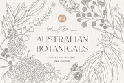 Australian Botanical Illustrations, a Decorative Illustration by rouxsupplyco (Thumbnail 1 of 13)