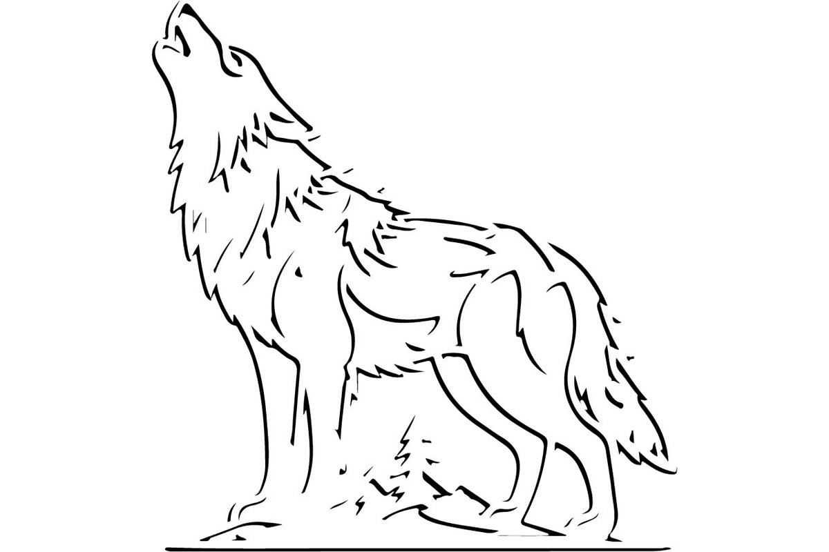 Alpha Wolf Silhouettes Bundle, an Animal Illustration by Designer_Momina (Photo 17 of 21)