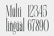 Alqeon, a Serif Font by zaaintype (Thumbnail 9 of 9)