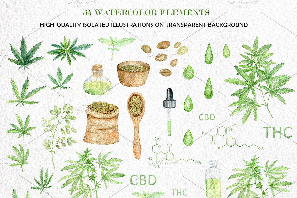Cannabis watercolor set, an Illustration by svetodesign (Photo 2 of 8)