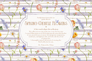 Watercolor Spring Gentle Flowers, a Decorative Illustration by Pamyatka Shop (Thumbnail 2 of 12)