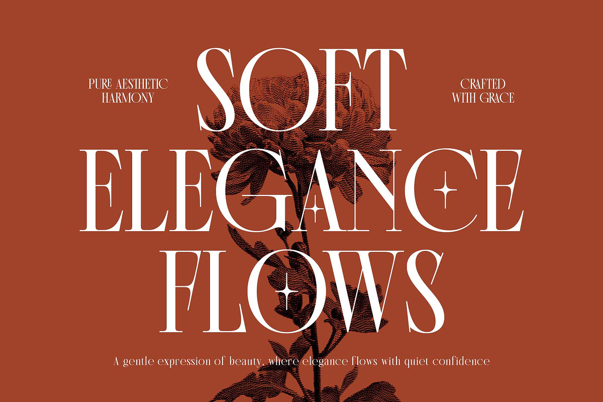 Morside - Modern Classic Serif, a Serif Font by Arterfak Project (Photo 10 of 14)