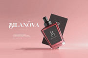 Brant, a Serif Font by FactoryType Studio (Thumbnail 4 of 11)