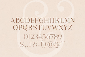 Wild & Folk Serif Font