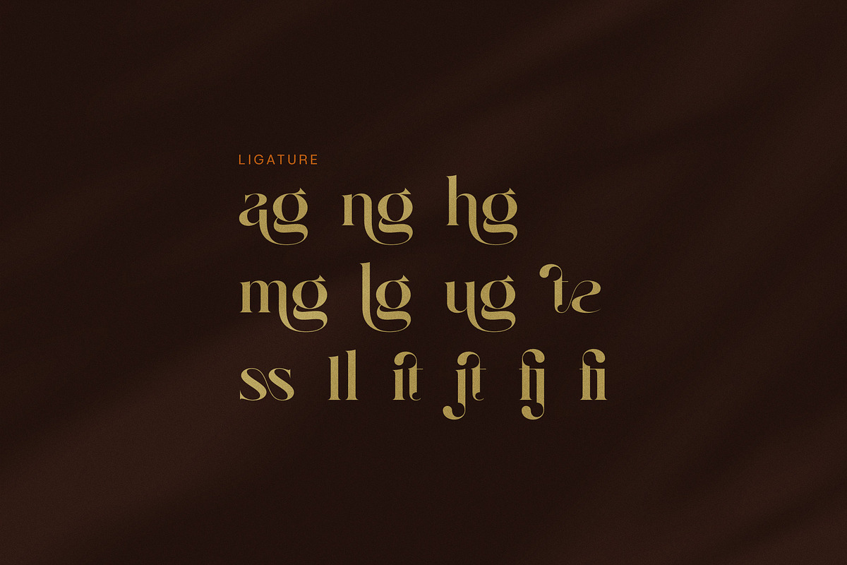 Gafilen Elegant Serif Font, a Serif Font by Graphicxell (Photo 8 of 8)