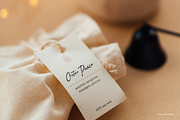 Pegiblue | Classic Signature Font, a Font by Denustudios (Thumbnail 9 of 13)