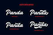 Bold Script Bundle, a Script Font by hastatypestd (Thumbnail 3 of 18)
