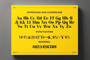 Megants || Unique Serif Font, a Serif Font by Idea Studio (Thumbnail 5 of 5)