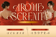 Arome, a Serif Font by Burntilldead (Thumbnail 7 of 12)