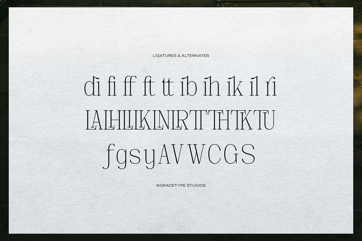Deforta | Classic Serif, a Serif Font by gracetype_studio (Photo 11 of 12)