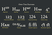 Anaphora - 22 Fonts, a Serif Font by Zetafonts (Thumbnail 9 of 11)