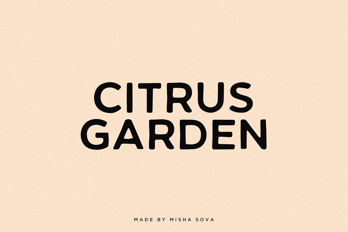 CITRUS GARDEN - vintage sans serif, a Sans Serif Font by Misha Sova (Photo 9 of 11)