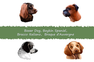 Dogs Pet Portraits Art Print Set 23