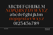 Galino, a Serif Font by Nurul_kamal (Thumbnail 13 of 14)