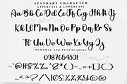 Snowing, a Handwritten Font by FreshTypeINK (Thumbnail 3 of 8)