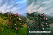 20 Kurosawa Film Lightroom Presets a, a Preset Add-On by SparkleStock (Thumbnail 2 of 16)