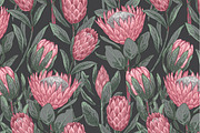 Protea flowers and eucalyptus sketch, an Illustration by irina.vaneeva (Thumbnail 9 of 12)