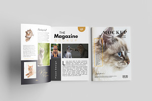 5 Realistic Magazine Mockup