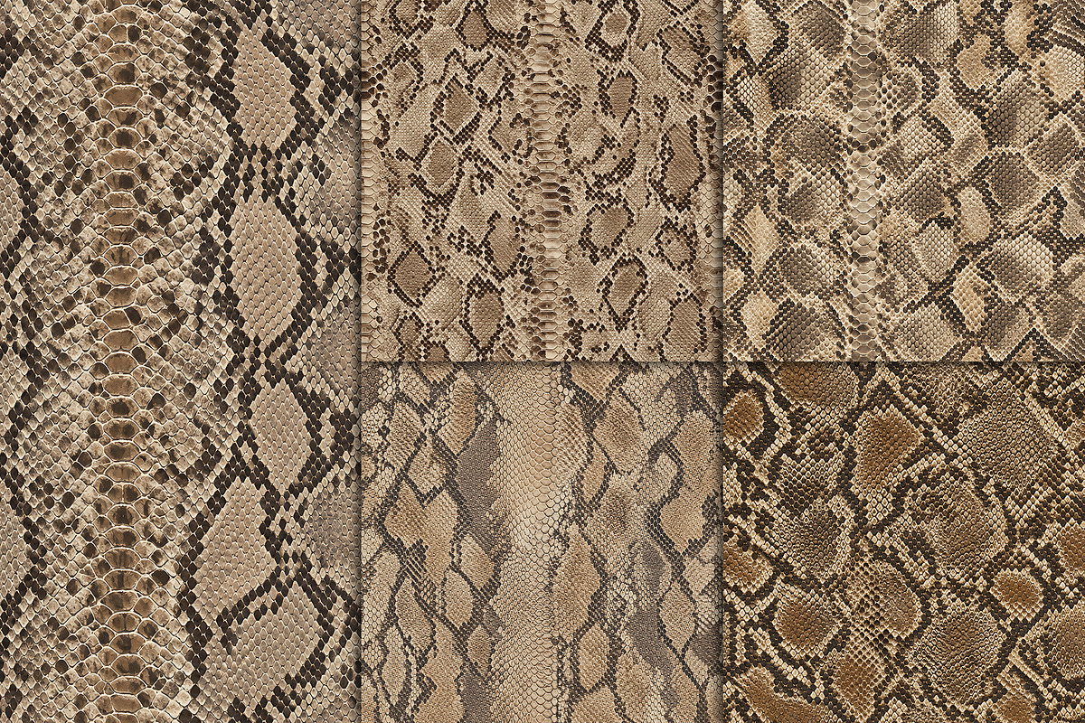 Realistic Snake Skin Patterns, a Pattern Graphic by Artonix (Photo 4 of 4)