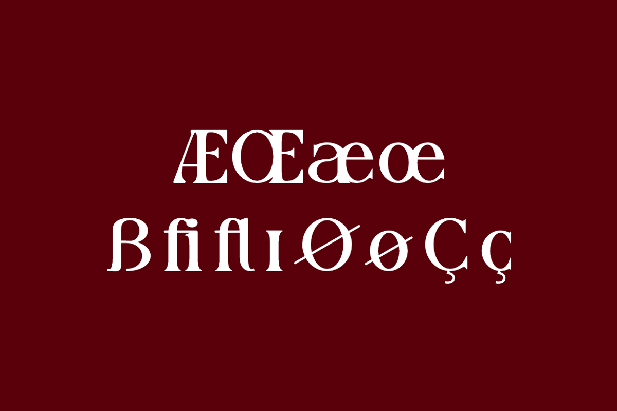 Luxoteg - Luxury Perfume Font, a Serif Font by QR Design Studio (Photo 11 of 15)