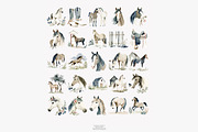 horse clipart horse illustration set, an Illustration by Patishop Art (Thumbnail 8 of 10)