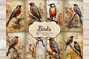Vintage Birds Junk Journal Pages, an Animal Illustration by GlamArtZhanna (Thumbnail 1 of 9)
