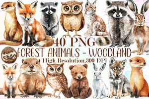 Watercolor Forest Animals - Woodland, an Illustration by Sublimation Artist