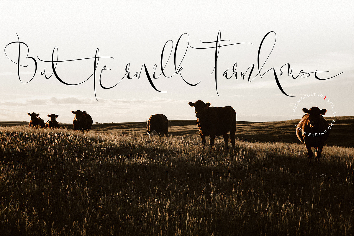 Permacultur, a Script Font by Papermode Co. (Photo 14 of 16)