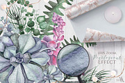 Watercolor Scandinavian Succulents, an Illustration by Fluffy Unicorn (Thumbnail 6 of 11)