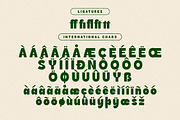 Heatrix Sans Serif Display, a Sans Serif Font by Storytype Studio (Thumbnail 13 of 15)