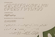 Qedgan Mellodysta A Modern Font Duo, a Serif Font by Storytype Studio (Thumbnail 11 of 15)